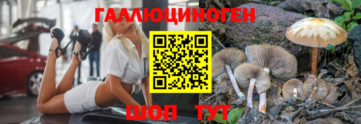 Галлюциногенные грибы Magic Shrooms Чехов