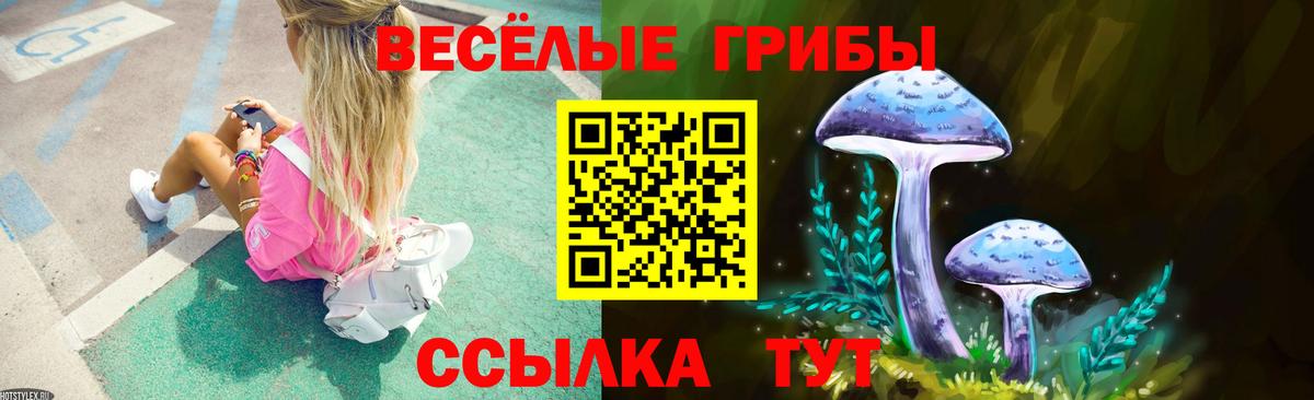 Чехов  Псилоцибиновые грибы MAGIC MUSHROOMS  Вход с VPN  Галлюциногенные грибы MAGIC MUSHROOMS 